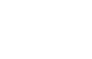 logo_tecnico_wolf